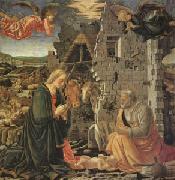 Master of the Louvre Nativity The Nativity (mk05) oil painting reproduction